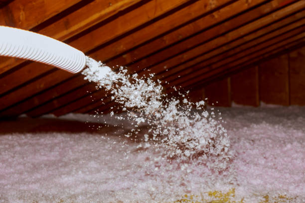 Insulation for New Construction in Roosevelt Park, MI