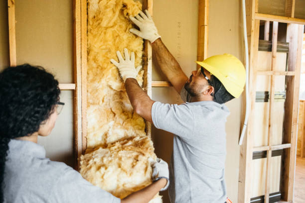 Best Insulation Removal Services  in Roosevelt Park, MI
