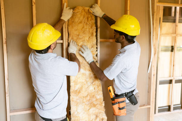 Best Crawl Space Insulation  in Roosevelt Park, MI