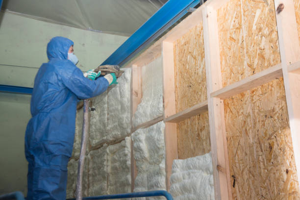 Best Attic Insulation Installation  in Roosevelt Park, MI