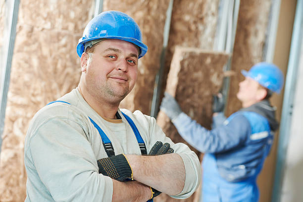 Insulation Replacement Services in Roosevelt Park, MI