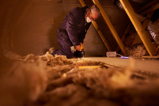 Best Energy-efficient Insulation  in Roosevelt Park, MI